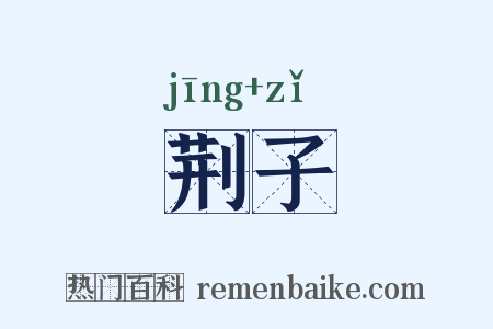 荆子是什么意思的图片